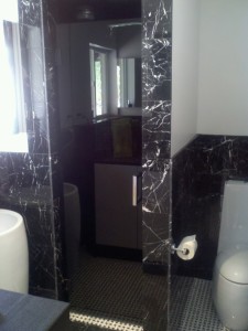 Black Glass Shower Door