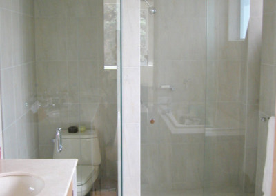 water closet and shower glass